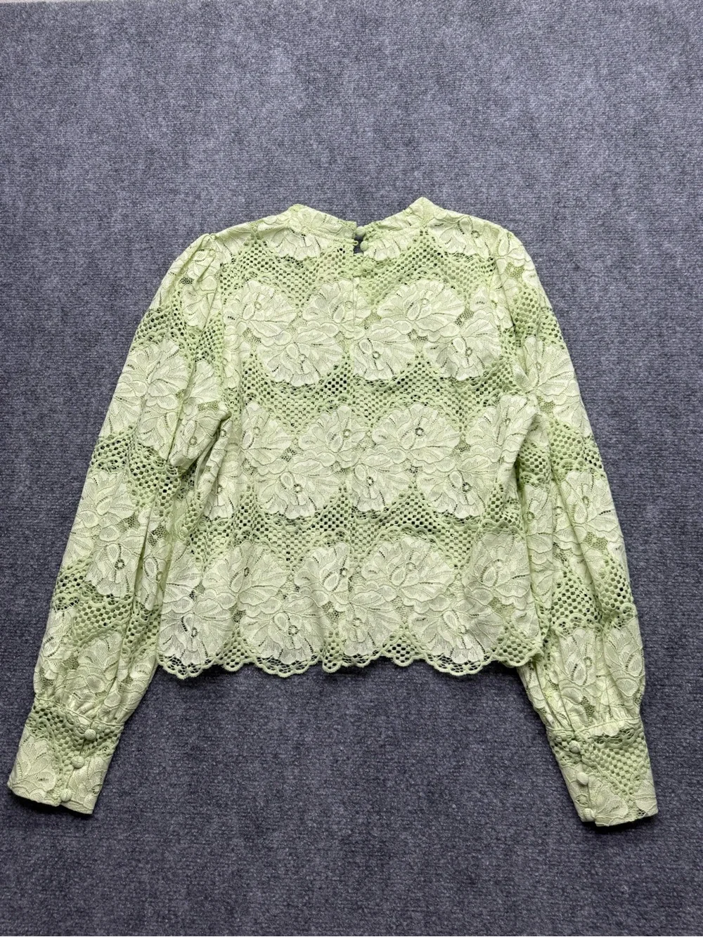 Anthropologie Dolan Woman’s Medium Nwt Lace Floral Long-Sleeve Top Light Green